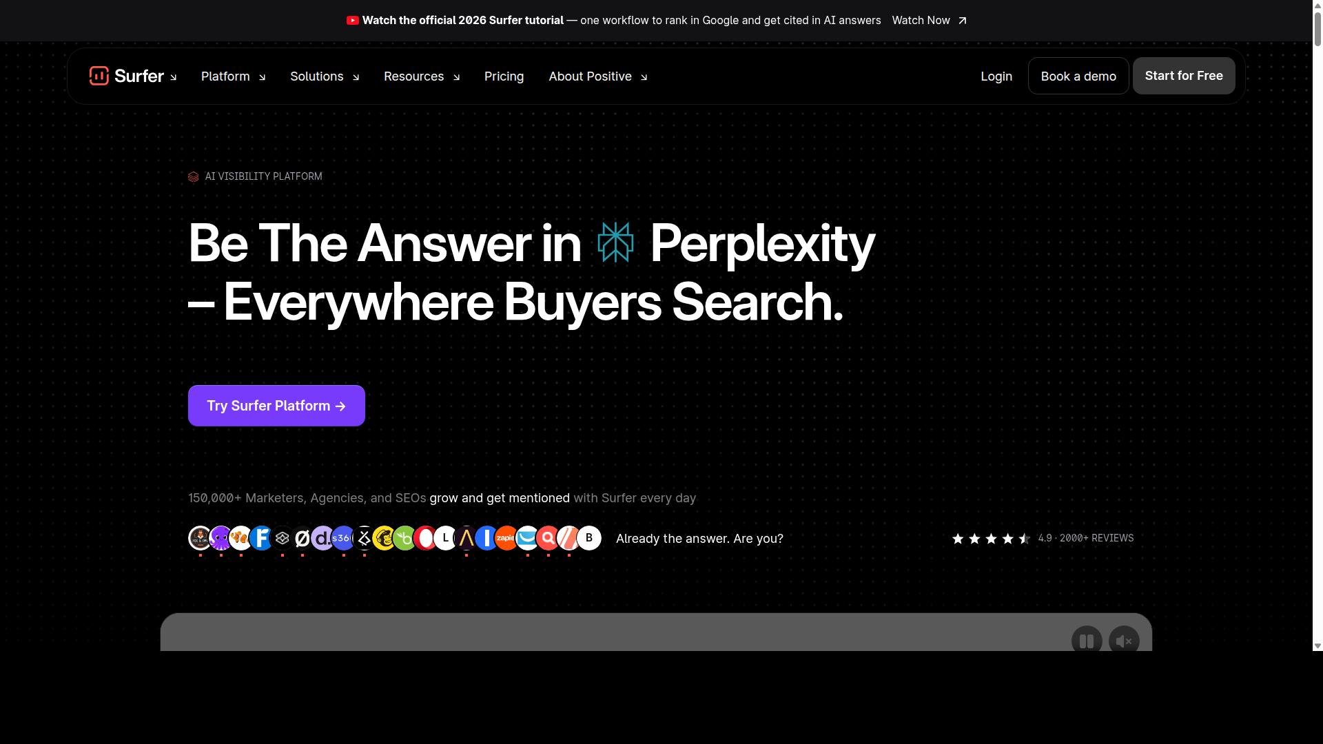 Surfer SEO website